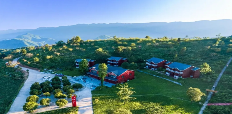 【案例展示】以“数字”为“大脑” 让“茶山”变“金山”