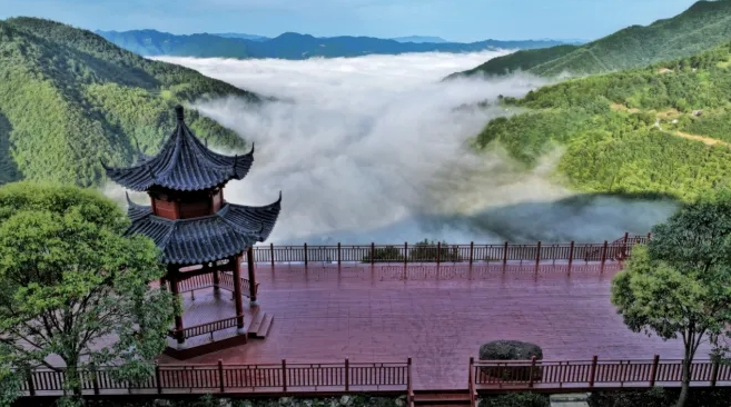 盐场镇响洞村：从“矿山”到“茶山”的绿色转型之路